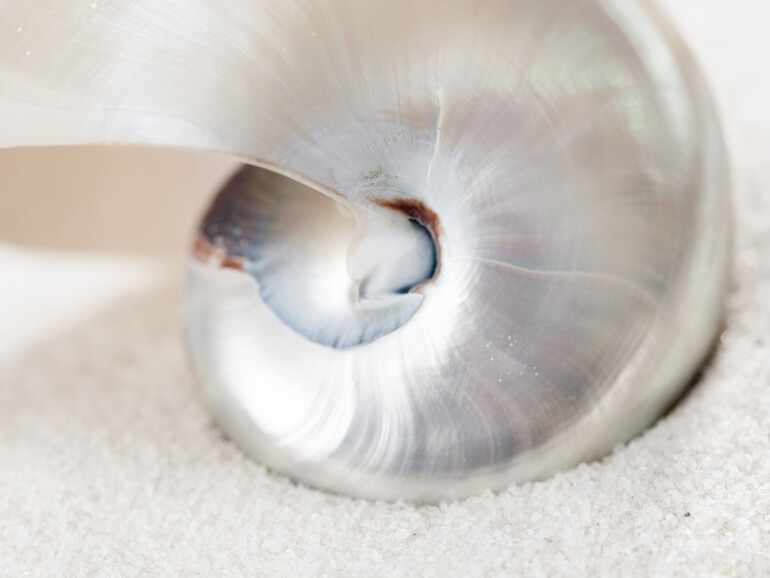 Maró Tantramasseurin Dakini Köln